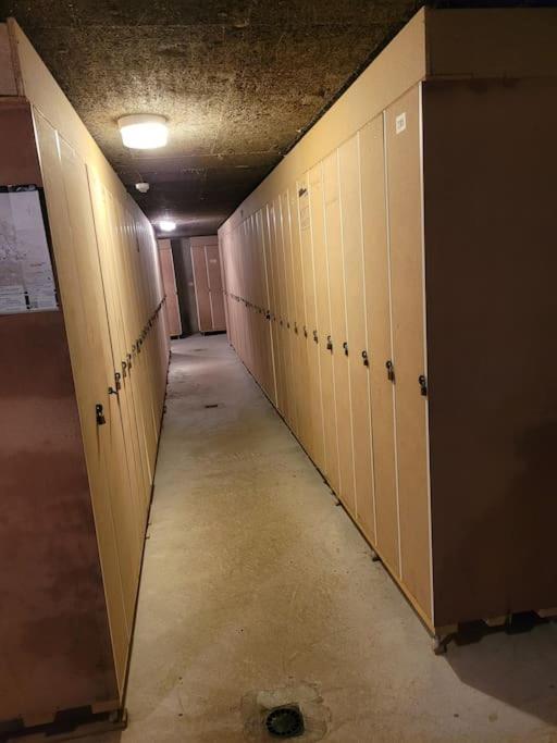 לה רוס Le Duplex, Superbe Cocon Au Coeur Des Rousses, Tout Confort 5 Pers, Draps Inclus מראה חיצוני תמונה