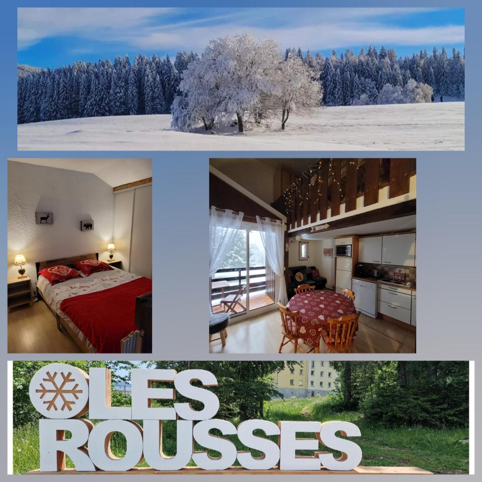 לה רוס Le Duplex, Superbe Cocon Au Coeur Des Rousses, Tout Confort 5 Pers, Draps Inclus מראה חיצוני תמונה